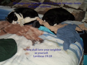 LOVE YOUR NEIGHBOUR